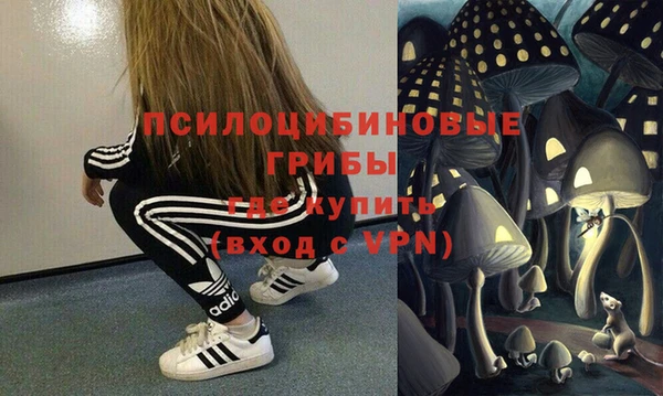 меф Белокуриха