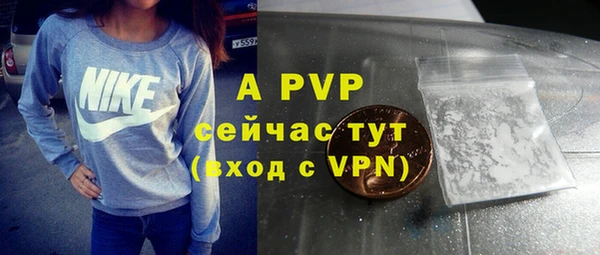 стафф Беломорск