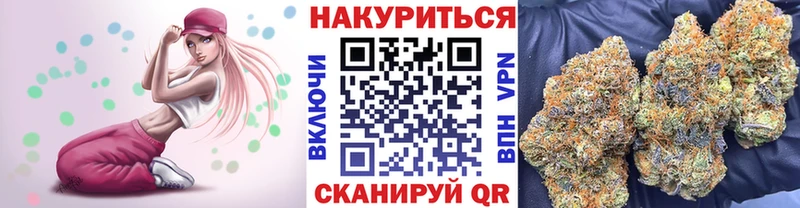 Канабис ГИДРОПОН Мураши